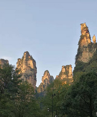 2019ܽ᡿˵ְ꣬нпɰı