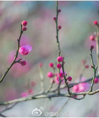 ��÷ʱ����Ϯ��������÷���ԣ����պã�