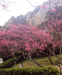 ��÷ʱ����Ϯ��������÷���ԣ����պã�