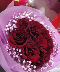 ̫��ϲ�ˣ���֤��Ȼ�յ����Ϲ�������