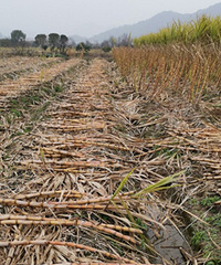 ����1Ԫһ��Ҳû��Ҫ��40Ķ����18��