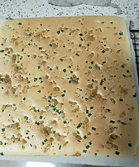 �����ʱ�䶼���׸������ˣ�����һ�����ڼҵ����ҵĵ���