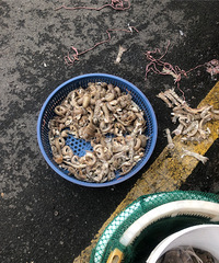 �˳��ſ���ģ���Ȼ�����滹Ҫ��5Ԫһ��