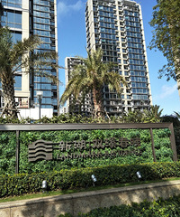 �º�˫Ϫ�������ͦ�ÿ�