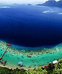 2020ȥ�����棿̨�ݳ������ι����Ƽ�