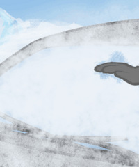 ���粣������ѩ��ס���������ܿ��ٿ������ˣ�