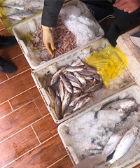 ���������㻨��6Ԫ���о����߲˶���������Һ���