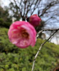 �������ġ�÷�����Կຮ��