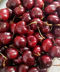 ���������ɣ����˿����룬�ҿ�����