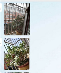 ���۸��᡿�������������Ĵ߻鷽ʽ��