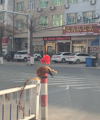 ���۸��᡿һֻ����һ֦��������·����ʲô������