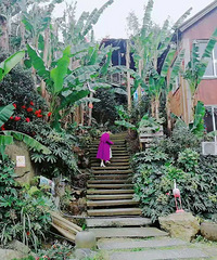 ������GLB SUV̨��֮�ǳ���֮�á����ڶ����Ĺ���