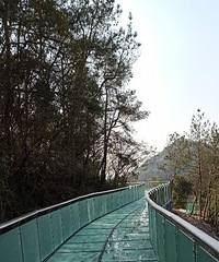 �������ġ�����֮ǰ����·�Ų�����