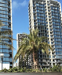 �º�˫Ϫ�������ͦ�ÿ�