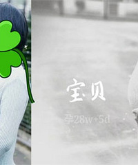 �����衤һ��������������