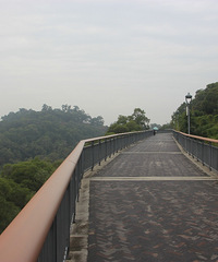 19�괺�ڵĸ����㶫�Լ��μǣ�ʱ��ʮ������