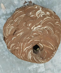 �������ġ��˼����µ������ѣ������������չ������������١�