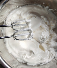 ��һ�γ������������������Թ���