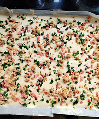 ��һ�γ������������������Թ���