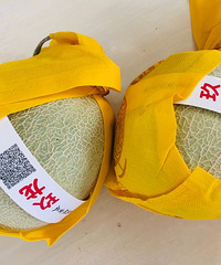 ��ɹ���������Ӫ�������������