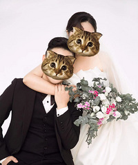 �򵥰���2020����ռǡ�