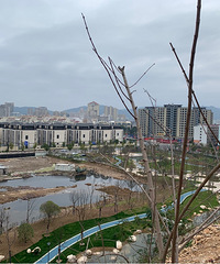 �����¹�԰����ɽ��԰����԰�����Ƽ��̶ȶ���