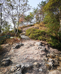 �ҽ�ʮ��侣� �������԰��⡢��ɽ�ż�����Դ��һ��