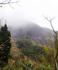 ���ֻƽ����ɳ����ƽ�������ʵ�ɽ�����д�Խ