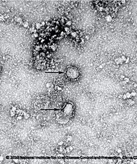 ����Ϣ���й��������Ŀ�ʼ�з����͹�״��������