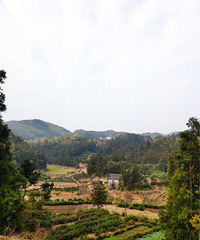 �ȶ��е�ӿȪ��ɽ�Ŵ�