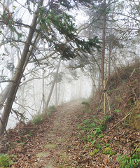 ���ֻƽ����ɳ����ƽ�������ʵ�ɽ�����д�Խ