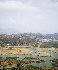 �ҽ�ʮ��侣���԰�÷��