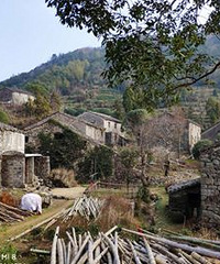 �ȶ��е�ӿȪ��ɽ�Ŵ�