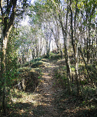 ڱչأſڵг̣ǰĺ÷