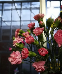 �������ġ��Ѵ������ı���