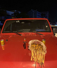 ���������ġ���ɫԽҰ���������տ�����ţ�����ƣ���Ŷ��