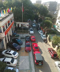 ���������ġ���Ҷ����Ծ��ģ�