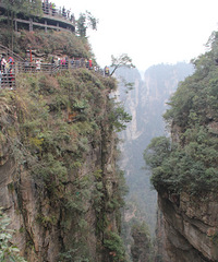 ԬҽҽźףС߻ͷĿѣ