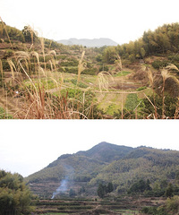 ����Ҳȥ�����ˣ�ֻ�����Լ���ɽ�ϣ�ÿ��һ��ɽͷ����