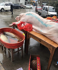 ���㶩���ˣ�����Ϊ�˰�ȫ�Ƴ��˻���