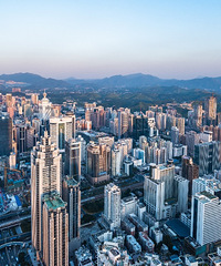 2020���¥�����ƻ���ô�������������Ϊת�۵�ô