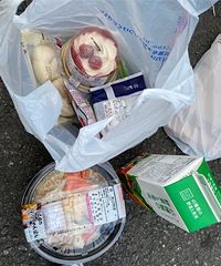 ձԱĺͣŻܴպϣѳԣ