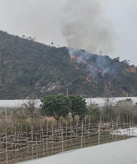 ���ʱ�ڣ�˭��ɽ�����ˣ�