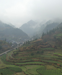 ܽ�������ī����կ���飬һ������ҷ������