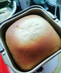 �Լ�����������ճ�¯���Ⱥ������ر�ó�