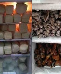 ����ɹ�����ܳ�2����