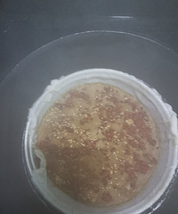 �������ġ�һ���������������Ϳ���ެ�����