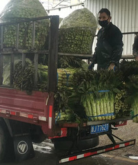 ��ţ��ܹ�����������ġ������ӡ��б���