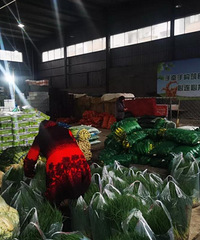 ��ţ��ܹ�����������ġ������ӡ��б���