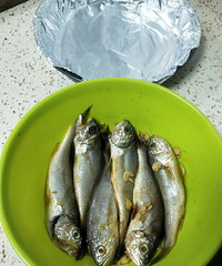 �䶳�˵Ľ����㲻���ˣ����������ÿ�������